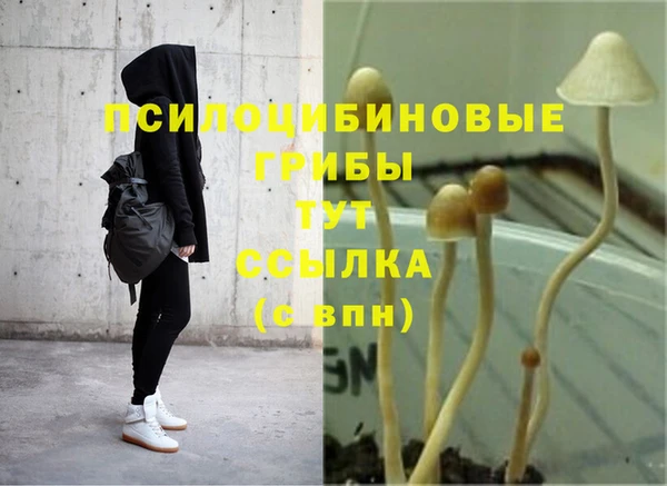 не бодяженный Белокуриха